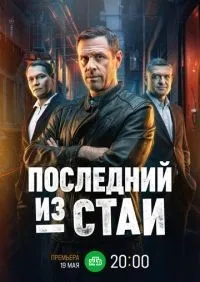 Последний из стаи 1-12 серии смотреть онлайн лордфильм